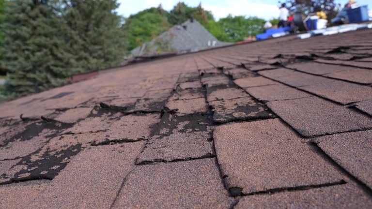 Best Roofing for New Construction  in Dalton, OH